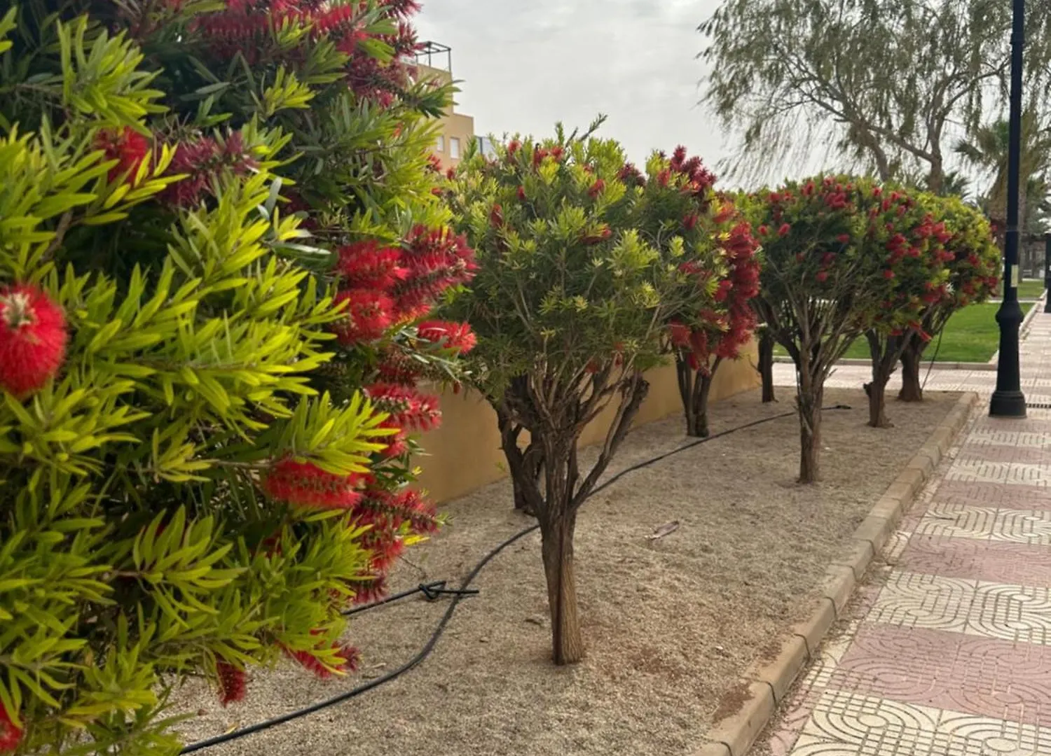Aguadulce Sol Y Playa- A/C Apartment Roquetas de Mar 0*,